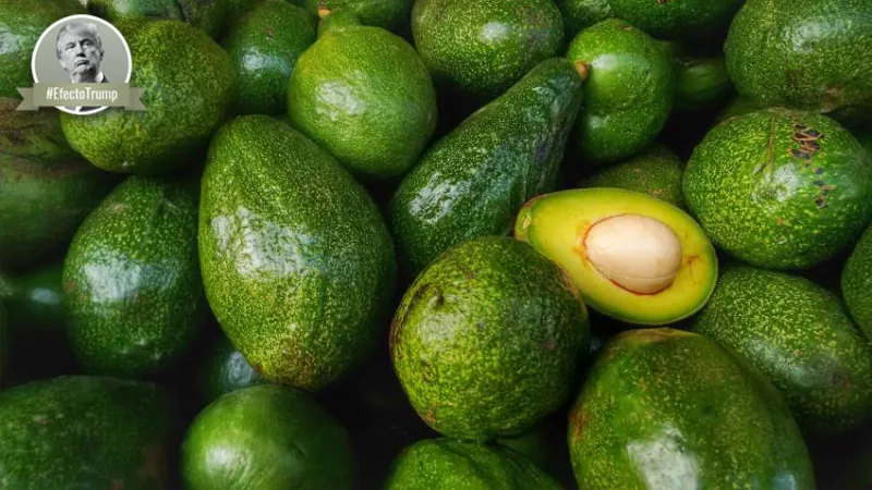 Reducir la dependencia.