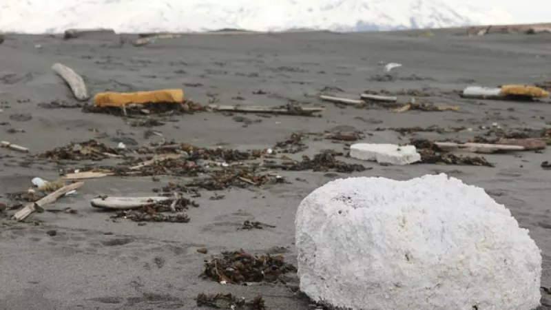 alaska_tsunami_japon