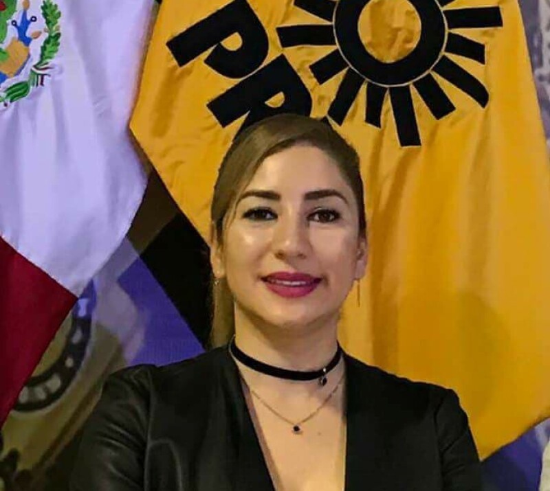 Resultado de imagen para diputada electa del PRD secuestrada