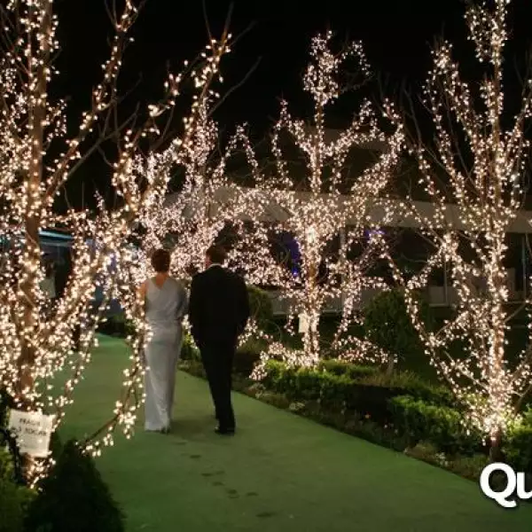 Boda Rodrigo Campos, Alejandra Zubiaur.