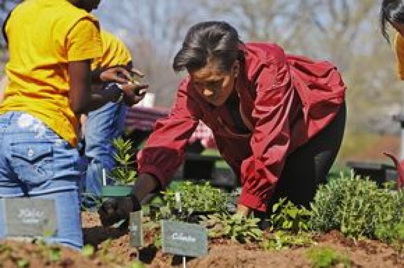 La primera dama estadounidense y 25 escolares sembraron plantas en la Casa Blanca; los vegetales que se cosechen serán usados en la sede presidencial y en comedores populares para indigentes.