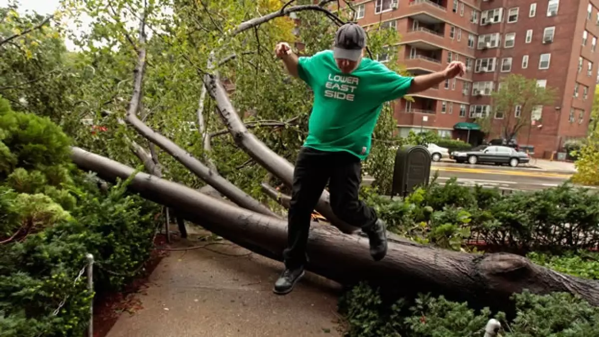 un hombre brinca un arbol