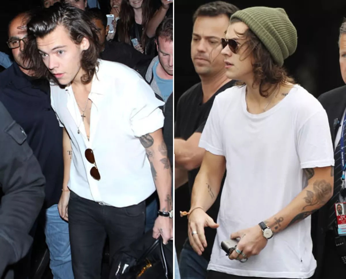 Como pueden ver, la descripción de la canción y el aspecto de Harry es bastante parecido.