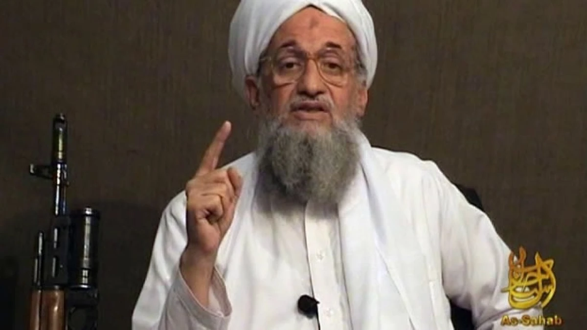 AlQaeda