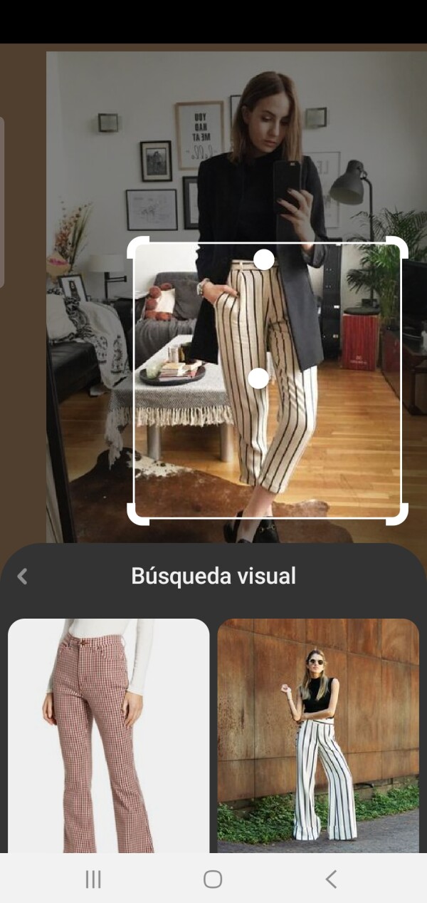 Búsqueda visual