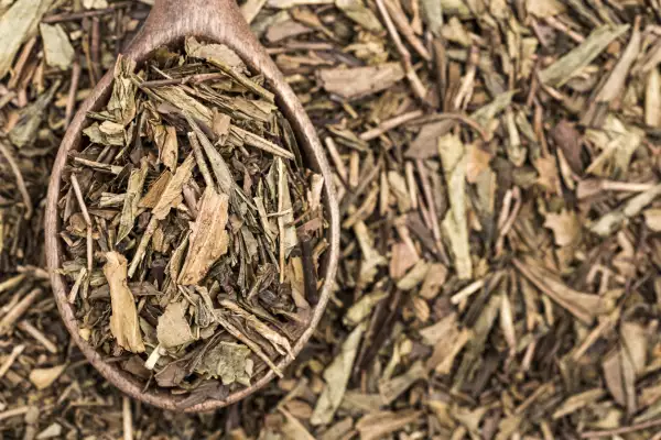 Hojicha tea