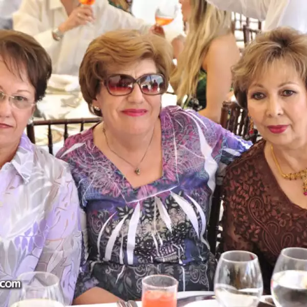 Dora Elia Elizondo,María del Lourdes Aguirre y María Victoria Siller