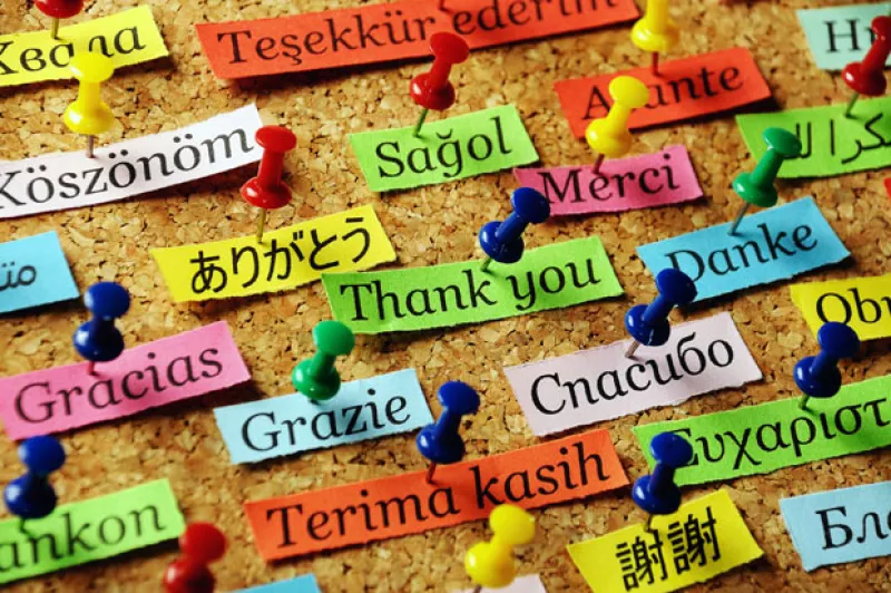 A veces se nos puede olvidar dar gracias por las cosas buenas que tenemos en la vida y nos centramos sólo en lo malo. Pero te sorpredenrá lo que aumentar la graitud le puede dar a tu cuerpo y mente.