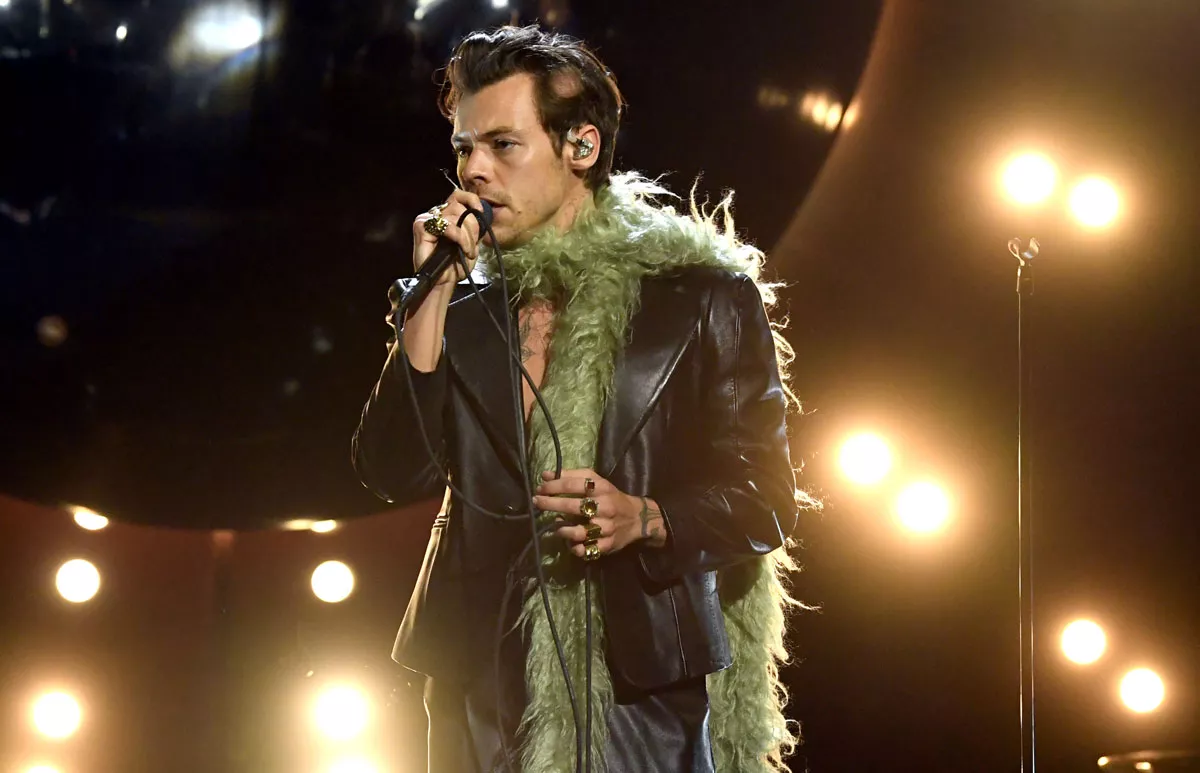 harry-styles-estola-fur (1).jpg