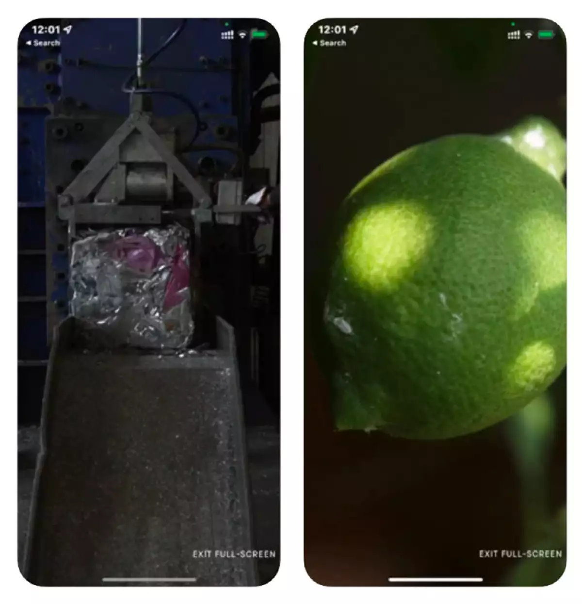 bottega veneta verde app