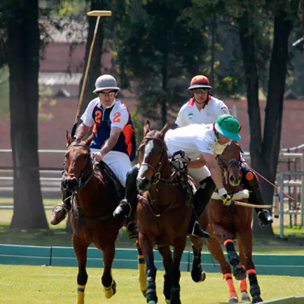 Juego de Polo México - España