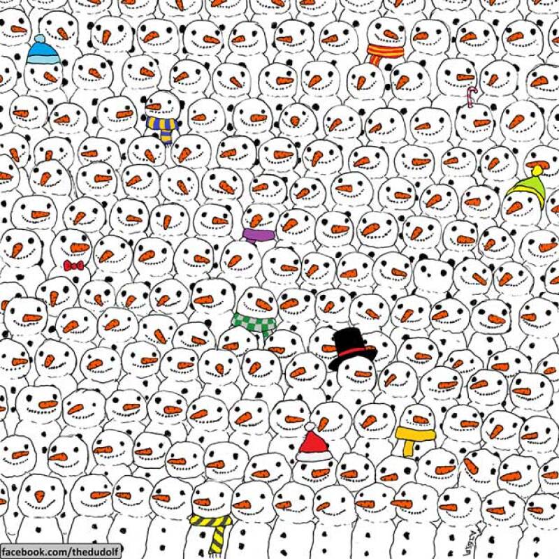 Dudolf en su Facebook y Twitter publicó un dibujo pidiendo a los usuarios encontrar al panda y la imagen se ha vuelto viral pues todos quieren encontrarlo.