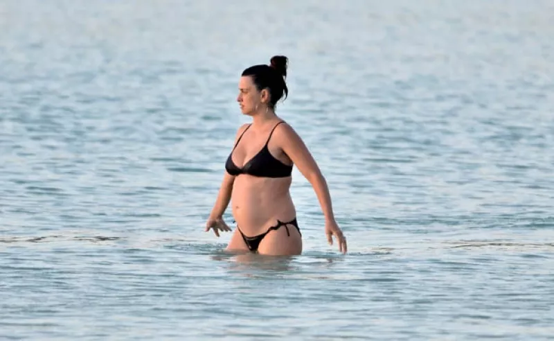 La actriz de 38 años confirmó su embarazo el mes pasado del también actor Javier Bardem. Ahora, ella y su familia fueron captados de vacaciones en Barbados.