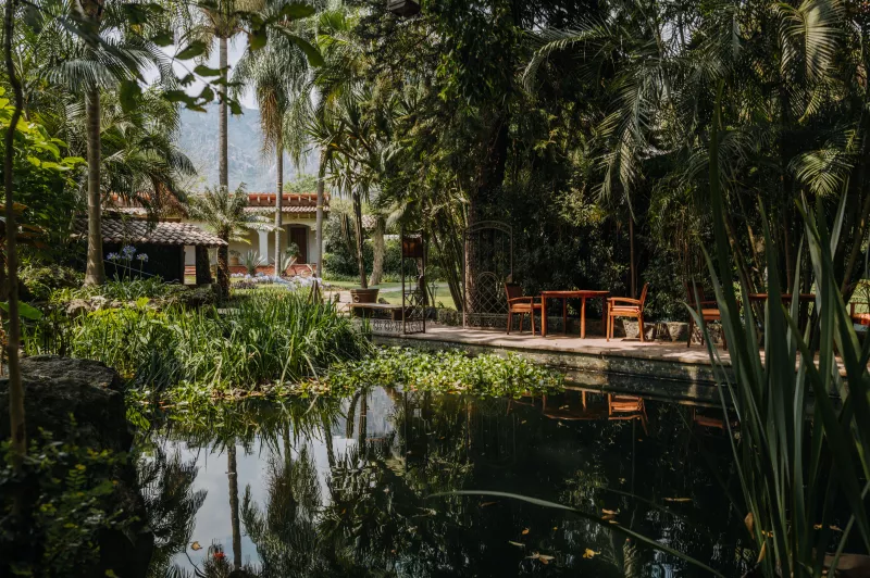 amomoxtli hotel tepoztlan