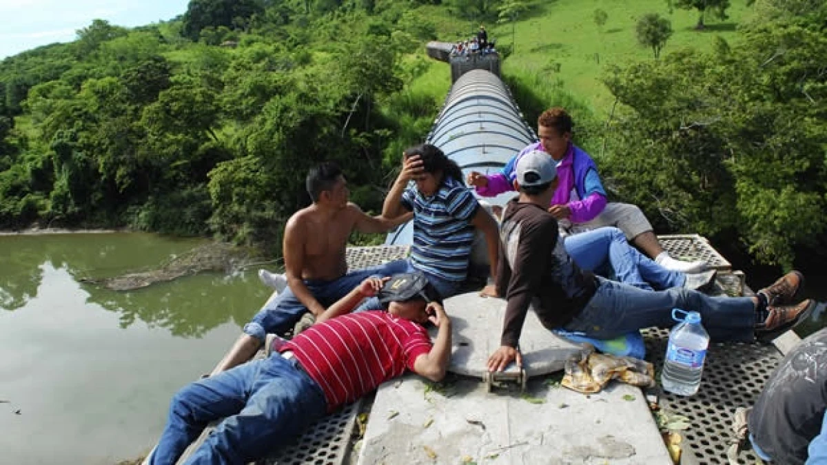 caravana migrantes paso a paso
