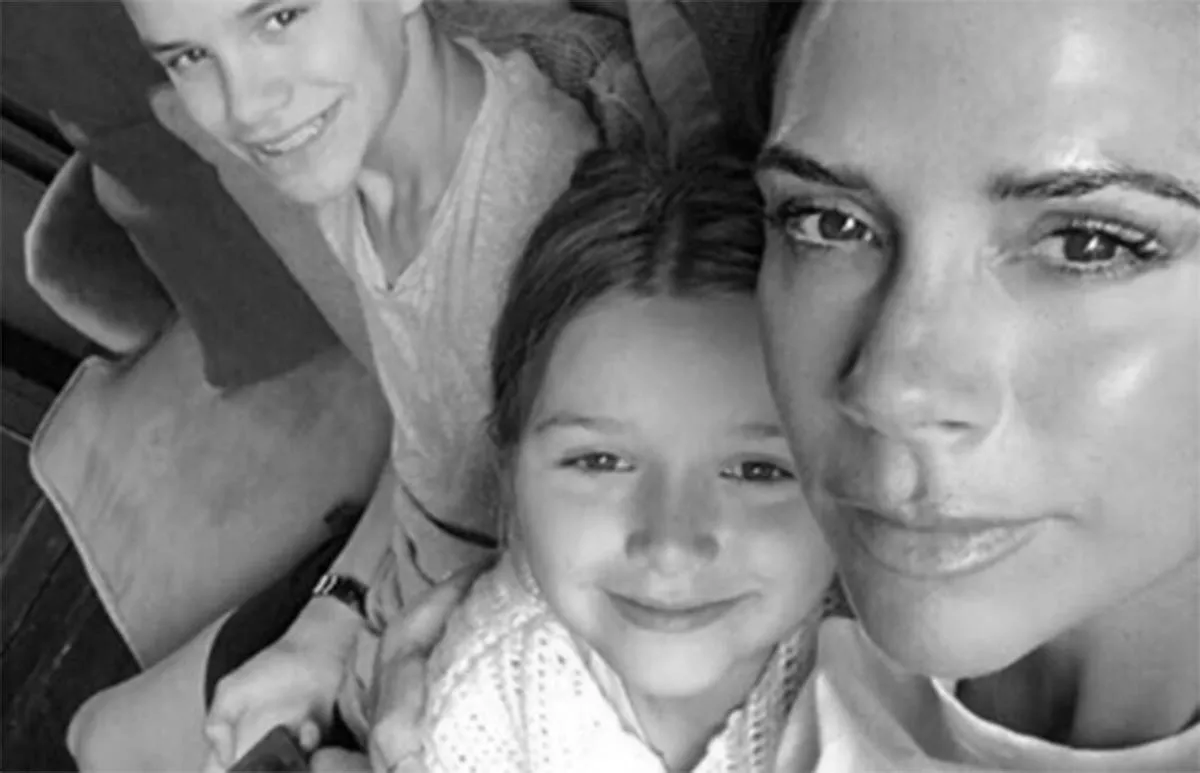 destacada-harper-pelo