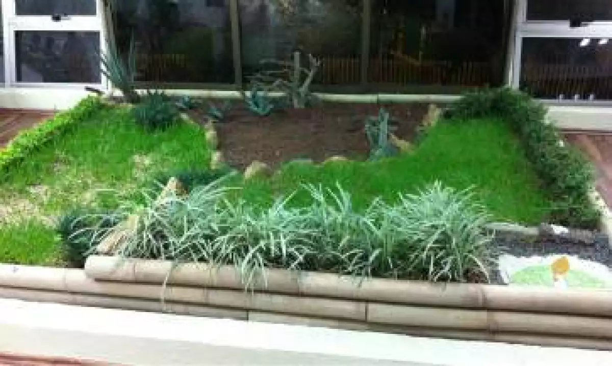 La instalación de azoteas verdes tiene un costo promedio de 1,500 pesos por metro cuadrado de superficie. (Foto: Cortesía Ecoesfera)