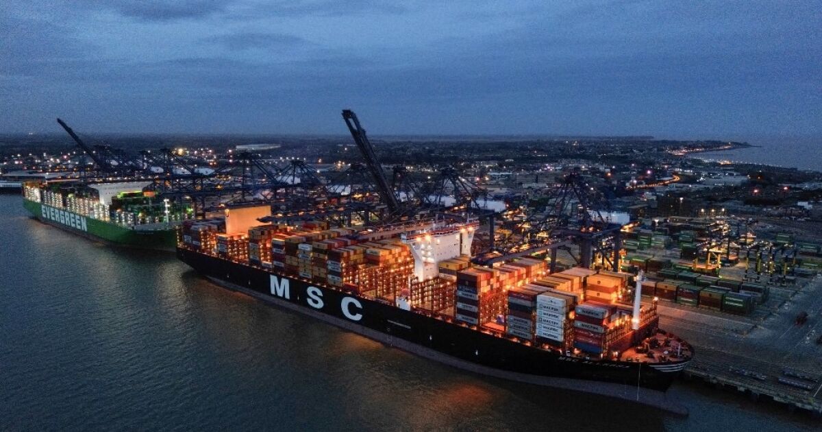 OECD, 2024 yılı küresel büyüme tahminini %2,9'a yükseltti