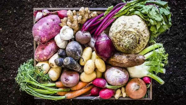 Healthy food: organic roots, legumes and tubers still life.