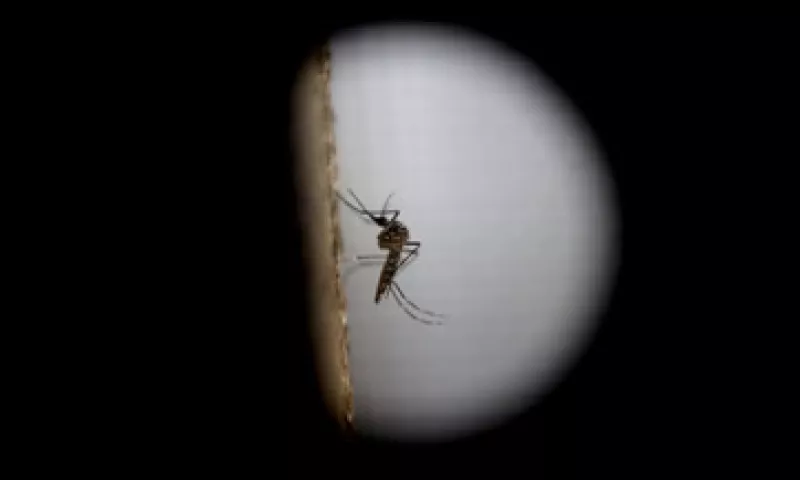 La Secretaría de Salud pidió tomar precauciones para evitar el contagio. (Foto: EFE)
