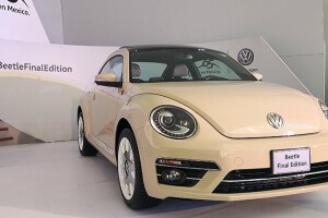Volkswagen Beetle 65.jpg