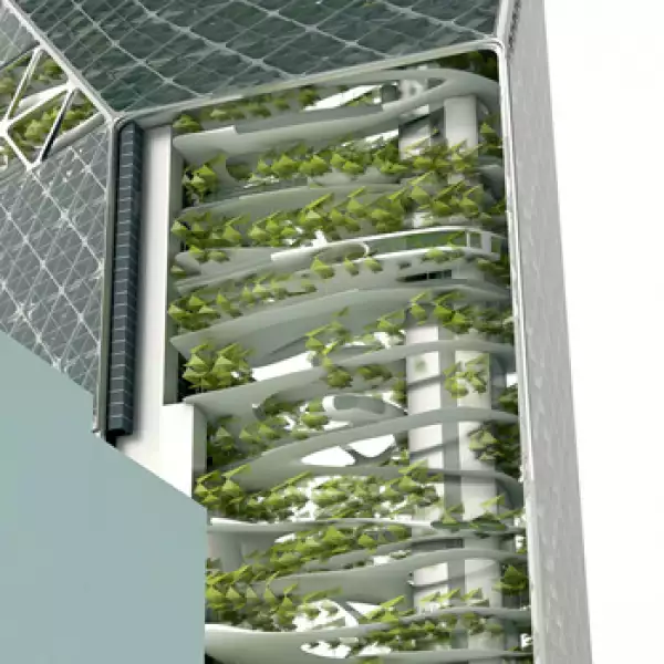 New York Breathing Machine 6