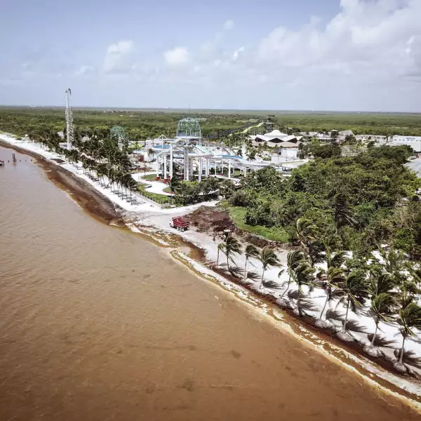 Miles de toneladas del alga llegan a los centros turísticos en la víspera del verano, en la imagen Playa Coral y Playa Ballenas Fe.
