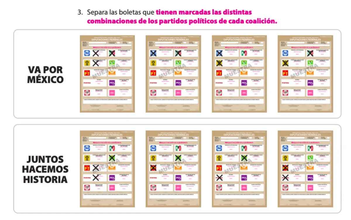 Manuales de conteo de votos.