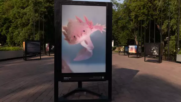 Todo sobre ‘El recuerdo del agua’, la expo fotográfica imperdible en el Bosque de Chapultepec