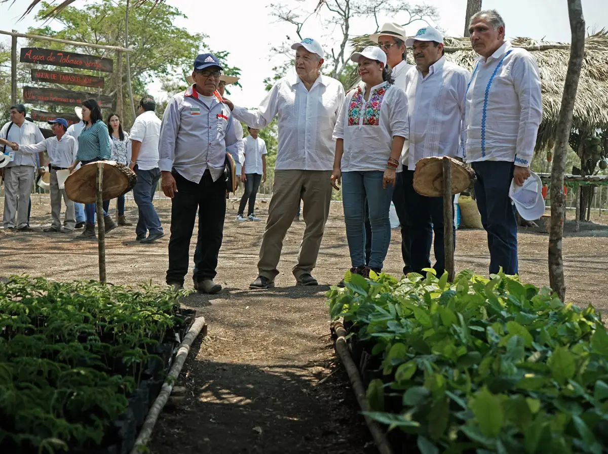 Tabasco - AMLO - Vivienda - Sembrando Vidas