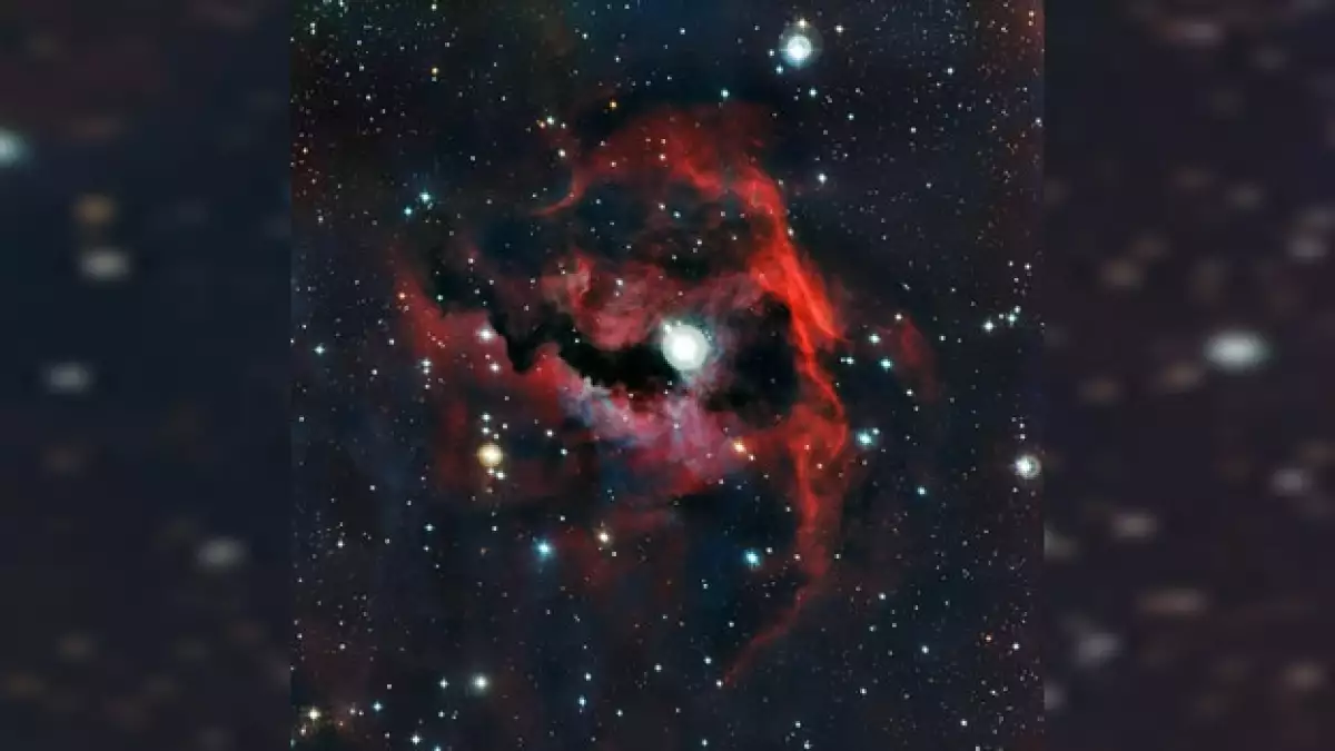 imagen de la nebulosa la gaviota
