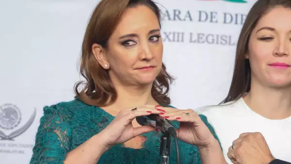 Ruiz Massieu aseguró que el gobierno mexicano enfrenta "retos" en la materia, pero ya trabajar por corregirlos.
