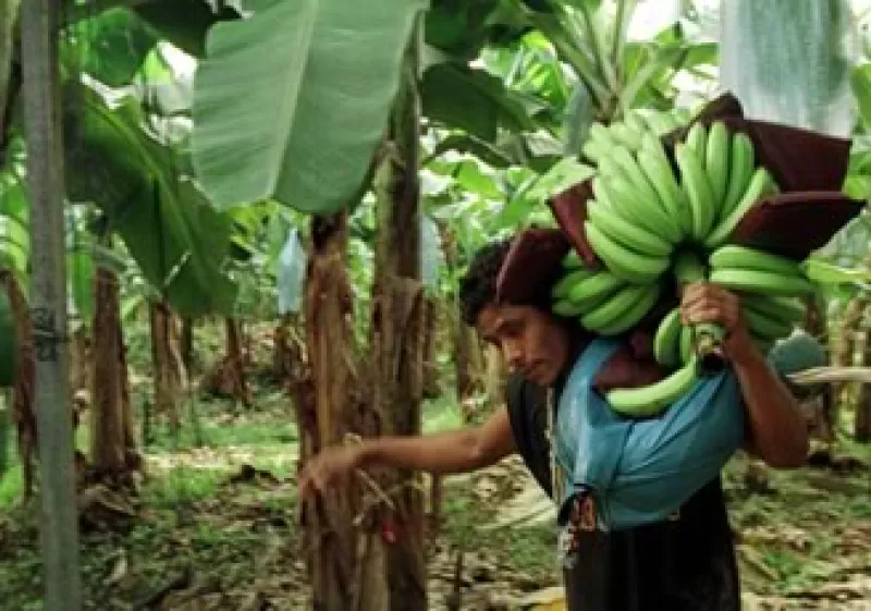 Bancarizar es una forma de promover al emprendedor rural. (Foto: Archivo)