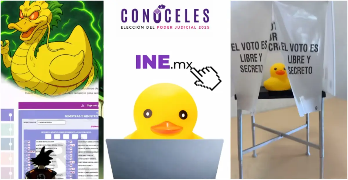 ine-eleccion-judicial.jpg