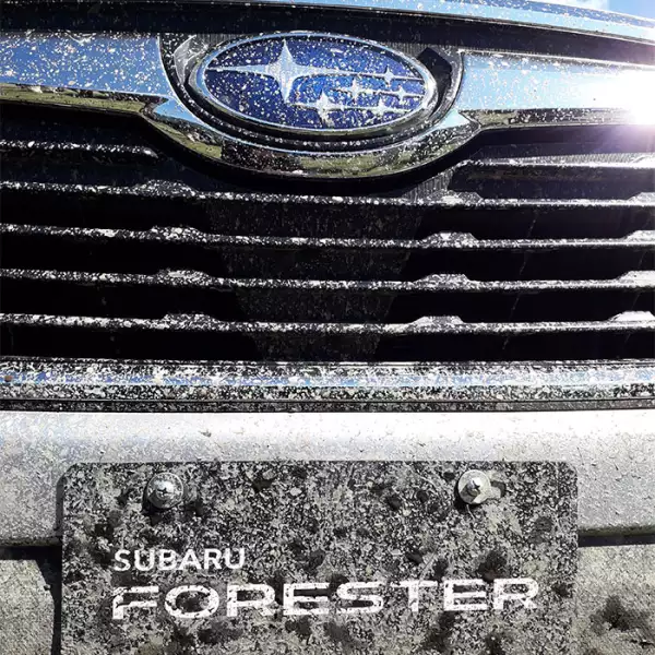Subaru Forester 2019