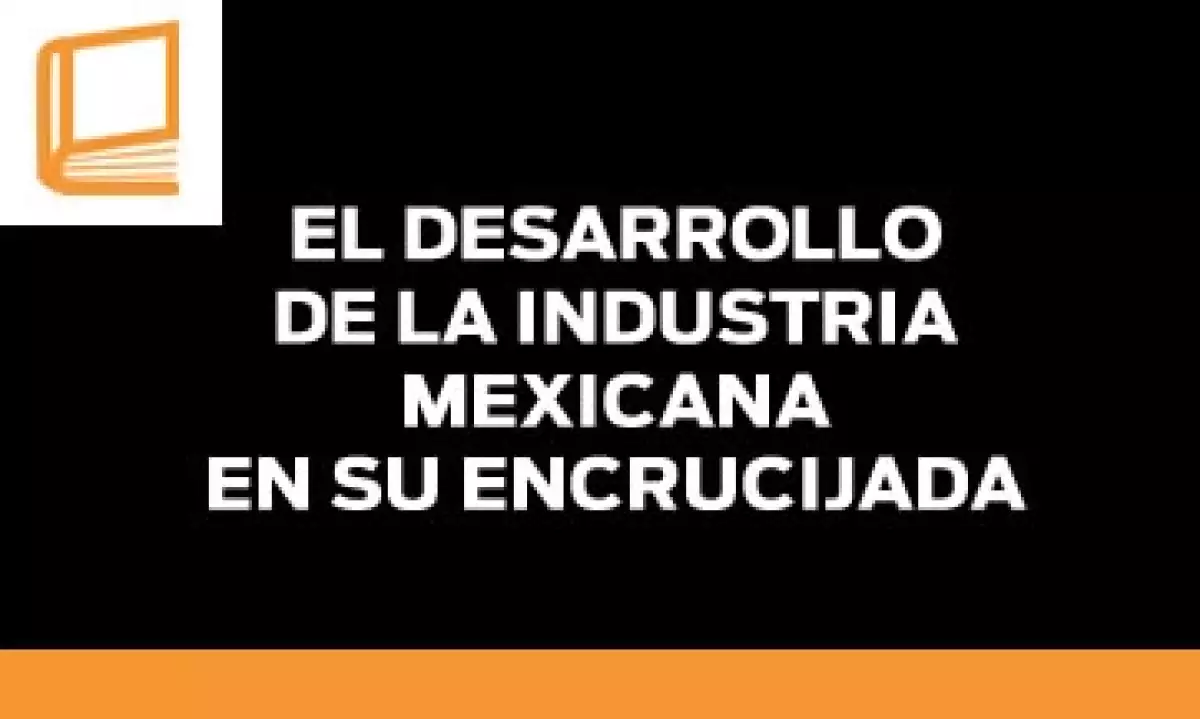 libroeldesarrollo