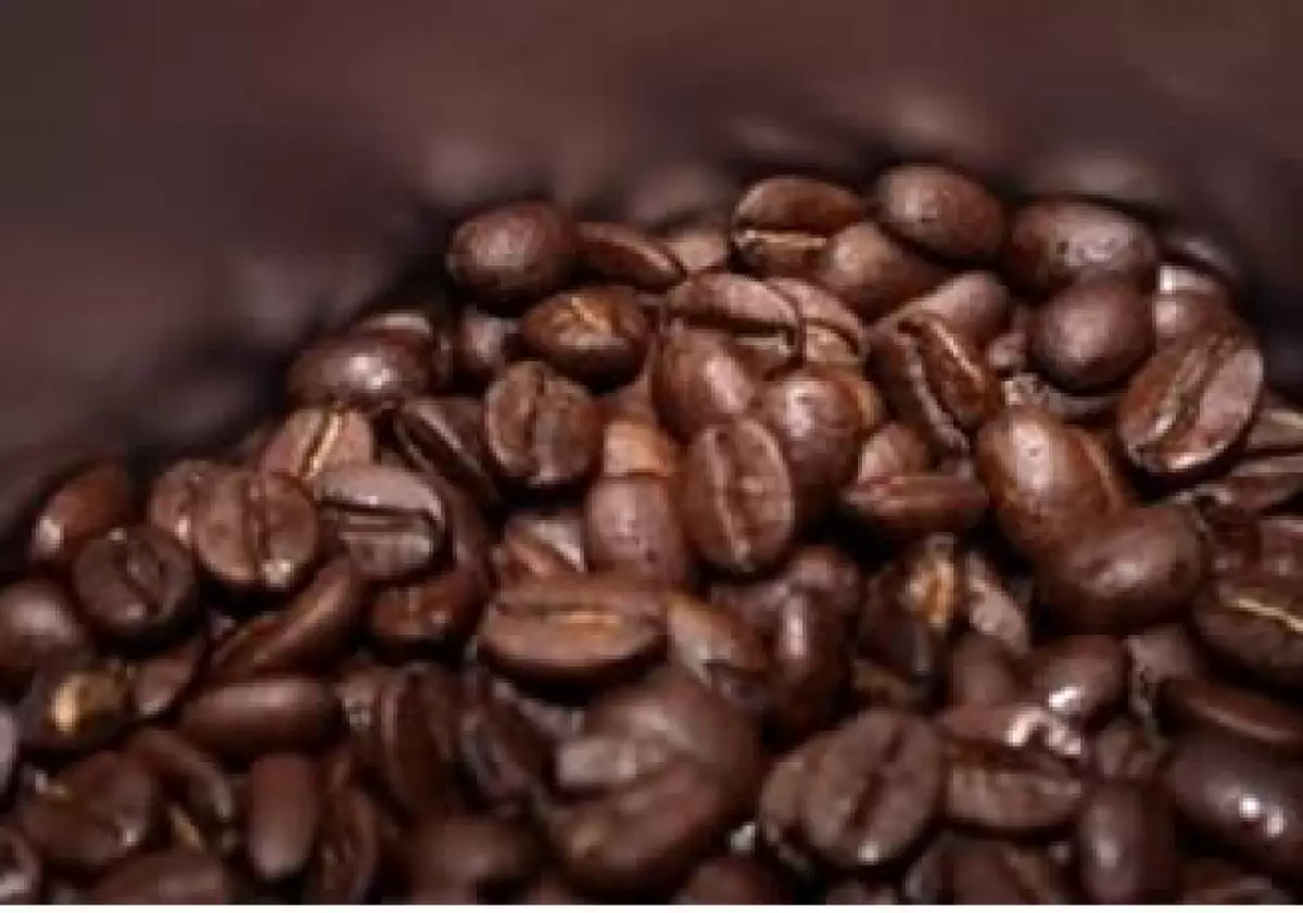 México envía menos café al exterior. (Foto: Archivo)