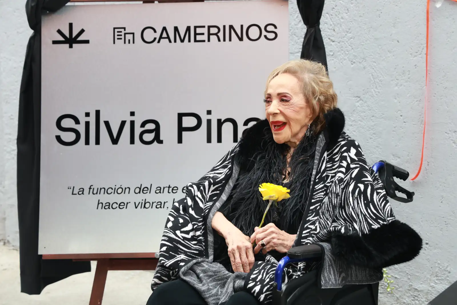  Silvia Pinal