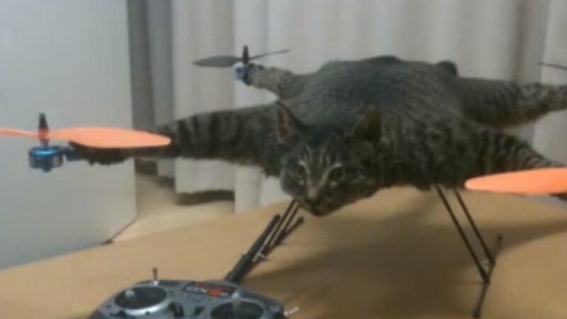 gatocoptero