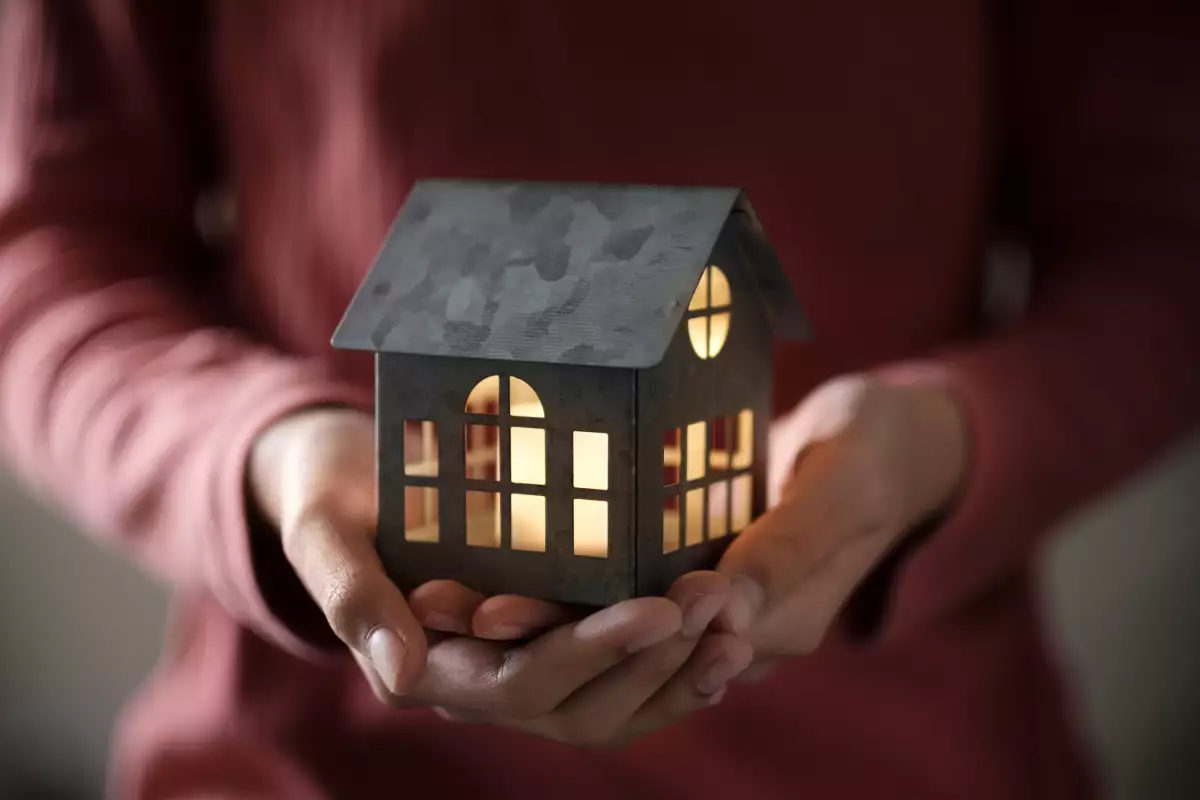 Model house in the palm