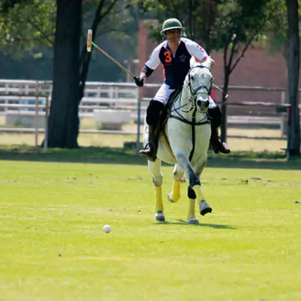 Juego de Polo México - España