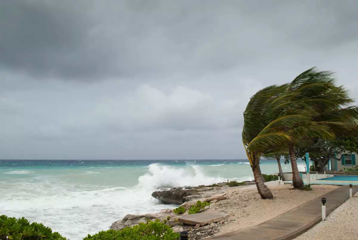 
Ante el huracán Beryl a Yucatán, Telmex y Telcel tienen este plan de contingencia
