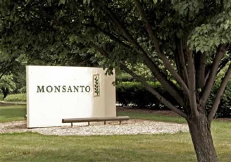 Monsanto señaló que su margen de ganancias también se expandieron para las semillas de soja estadounidense y el algodón. (Foto: AP)
