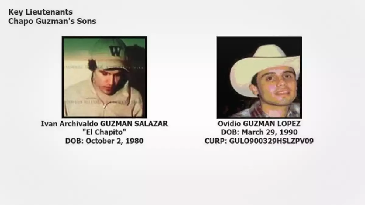 hijos_chapo
