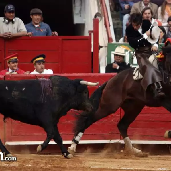 Rejoneador Diego Ventura