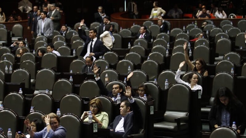diputados_proteccion_ley