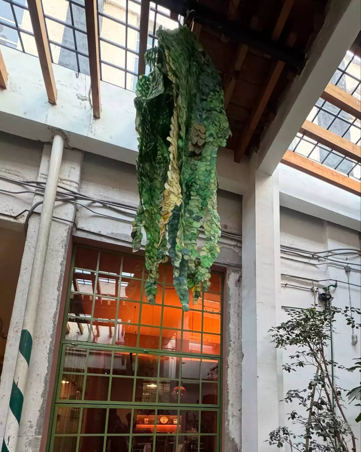 laguna mx art week 2025