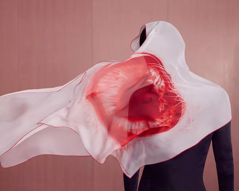 ferragamo año nuevo chino ojo conejo