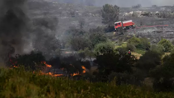 incendios forestales en Europa causados por la ola de calor