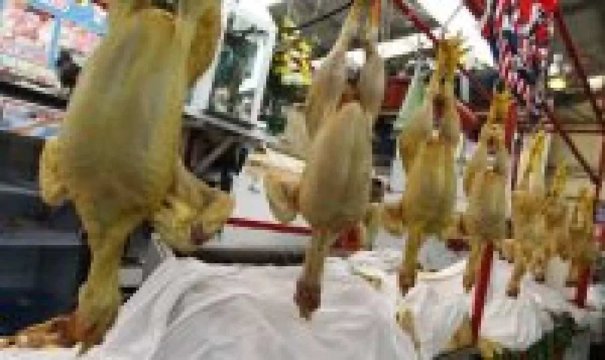 Varias empresas fijaron un precioen la venta del pollo en la Ciudad de México de 2008 a 2009, dijo la Cofece.